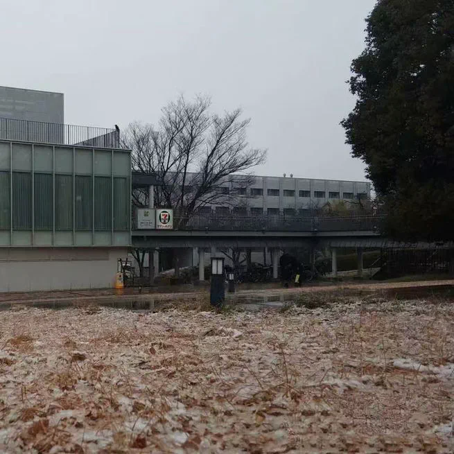 Snow, Uji Campus, Kyoto University